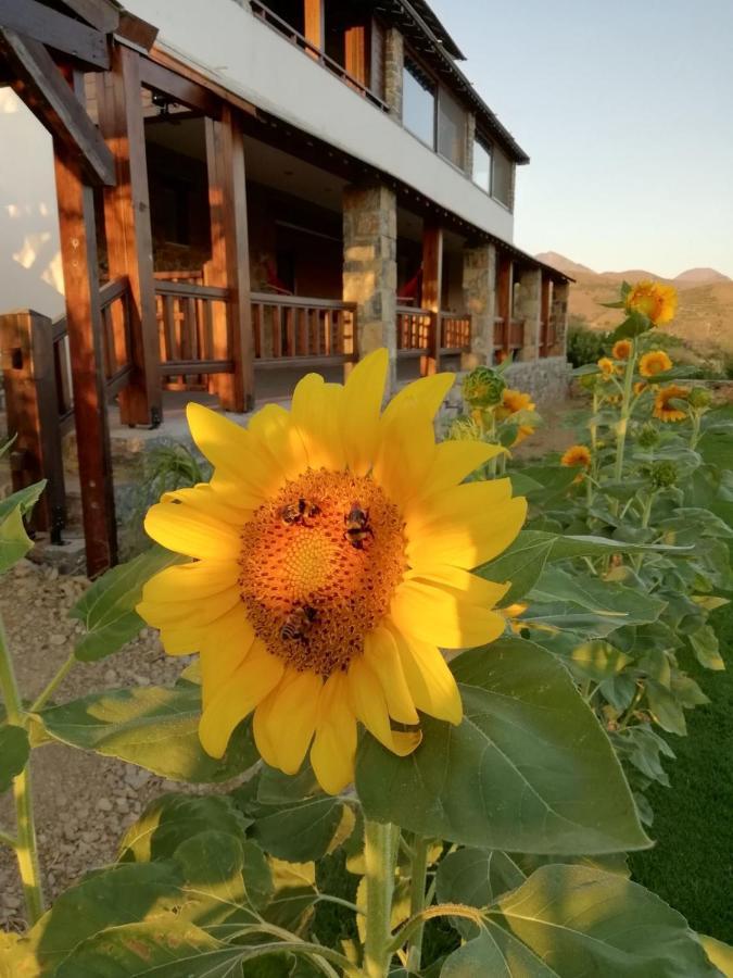 Apartmán Anemomylos House Exo Mouliana Exteriér fotografie